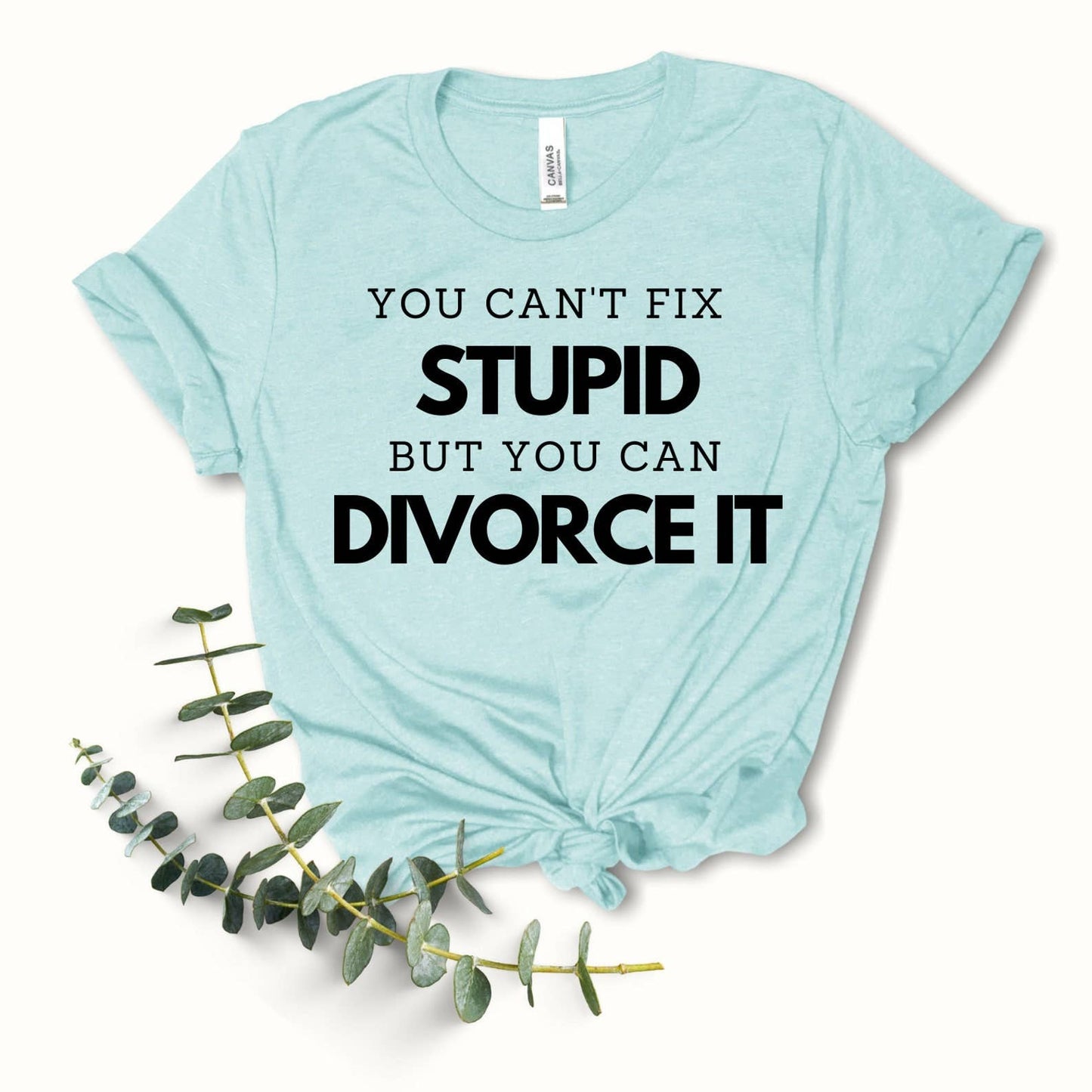 You Can't Fix Stupid T-shirt